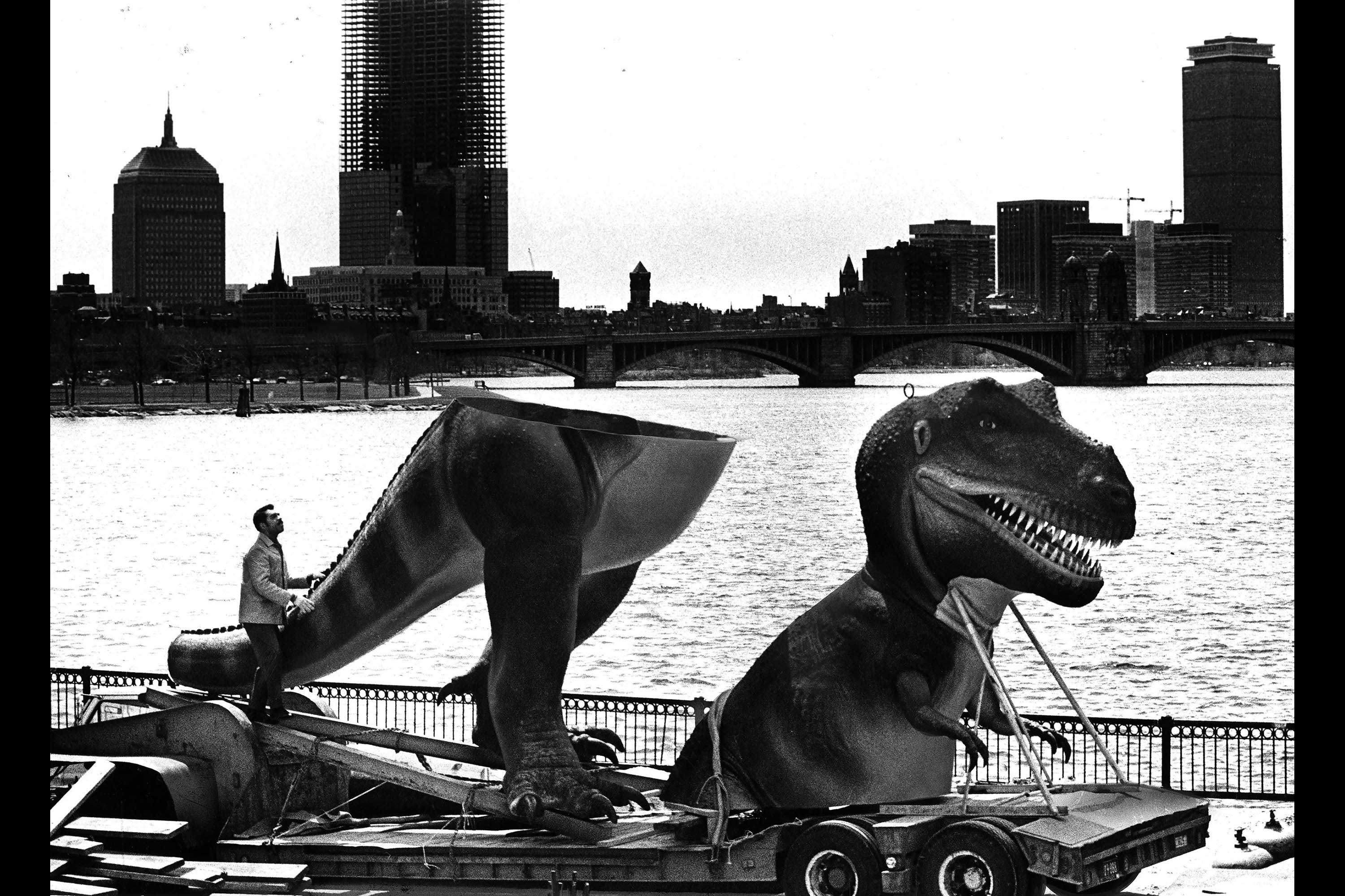 First Model T.rex Delivery. This is a photograph of a life-size T. Rex model on a trailer in two parts, the head and arms and the legs and tail.