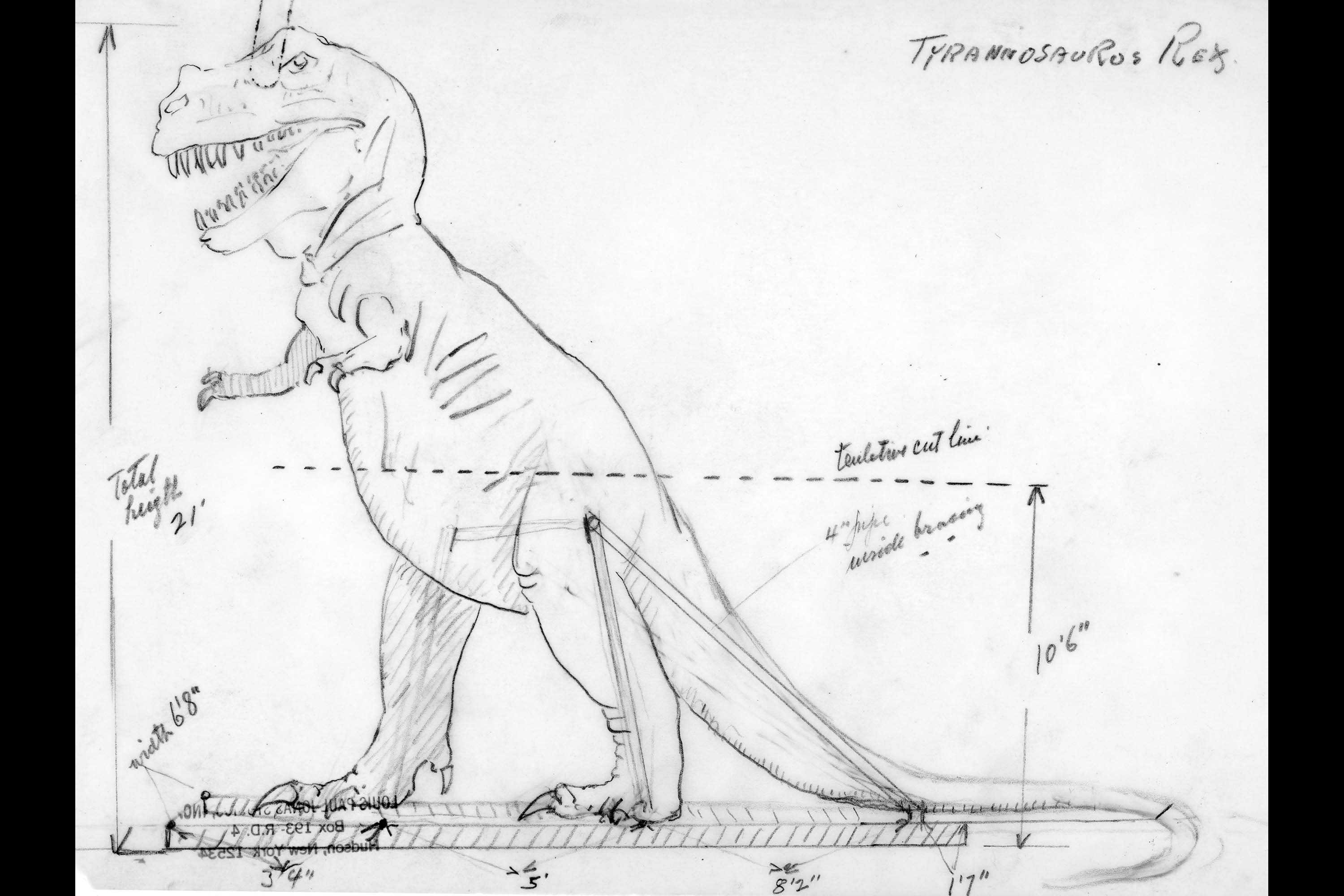 First Model T.rex Sketches. These are various pencil sketch designs for the T.rex model.