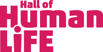 Hall of Human Life